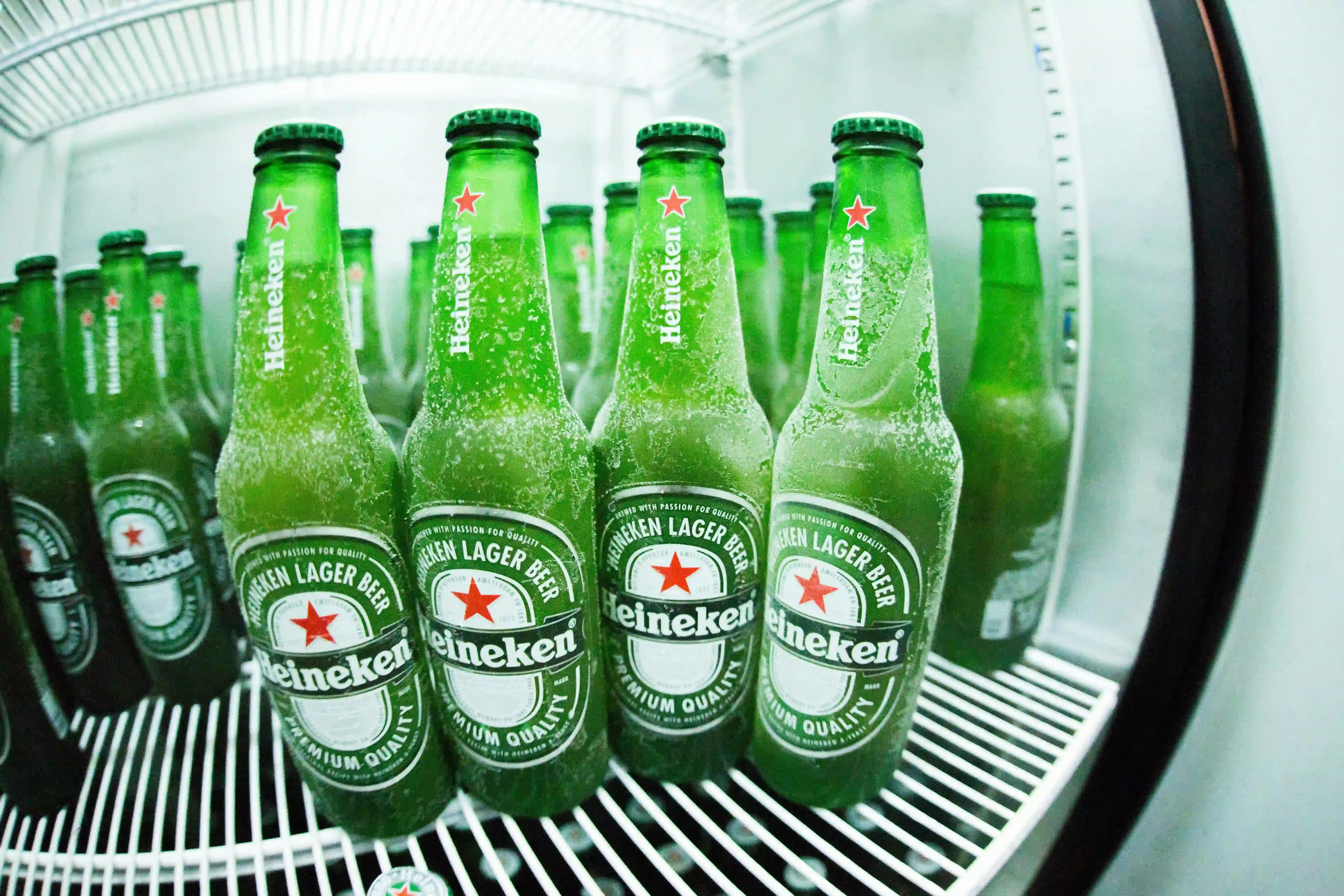 Premium Heineken Beer at Liquorbeast in Saskatchewan